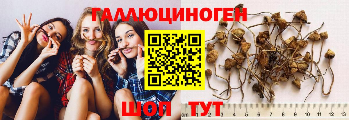 Галлюциногенные грибы MAGIC MUSHROOMS Трёхгорный